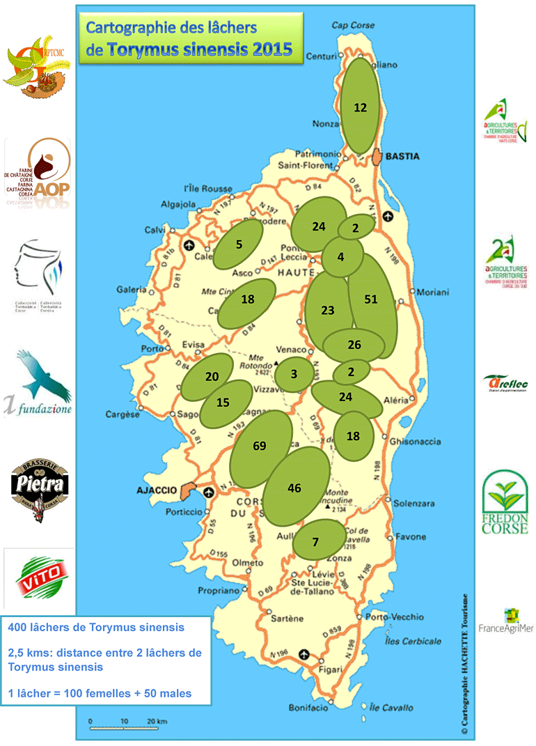 Cartographie des lâchers de Torymus sinensis 2015